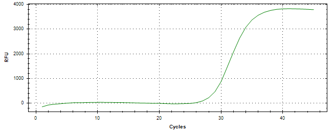 Amplification of cDNA generated from universal RNA.