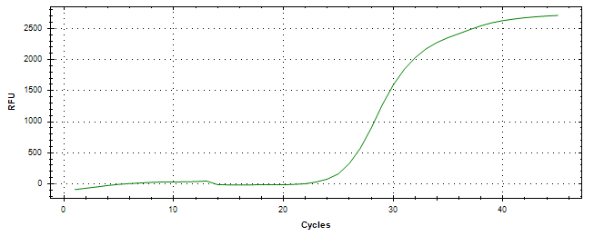 Amplification of cDNA generated from universal RNA.