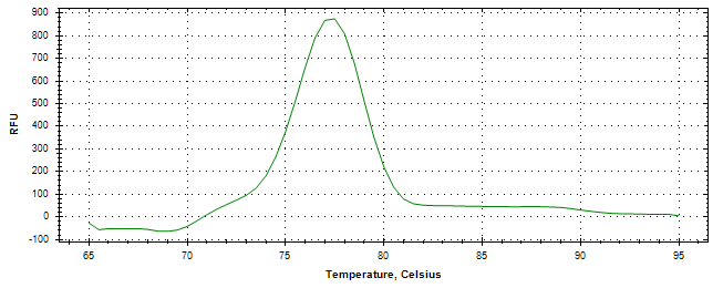 Melt curve analysis of above amplification.