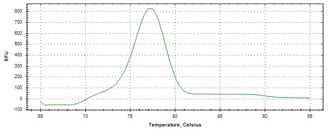 Melt curve analysis of above amplification.