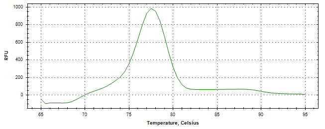Melt curve analysis of above amplification.