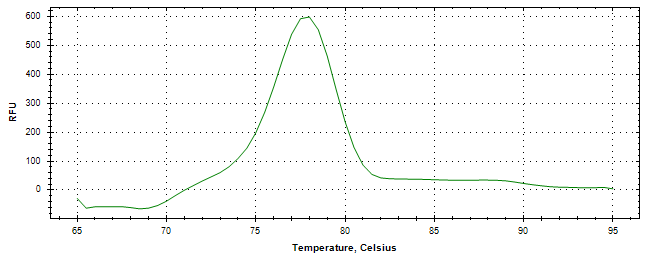 Melt curve analysis of above amplification.