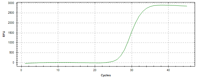 Amplification of cDNA generated from universal RNA.