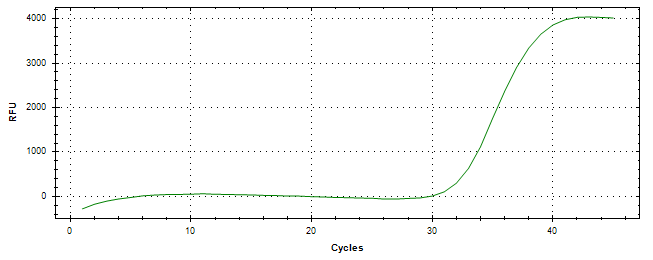 Amplification of cDNA generated from universal RNA.