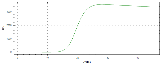 Amplification of cDNA generated from universal RNA.