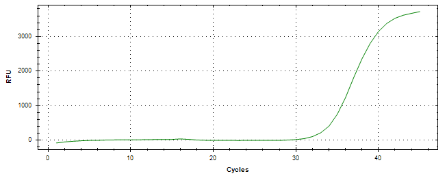 Amplification of cDNA generated from universal RNA.