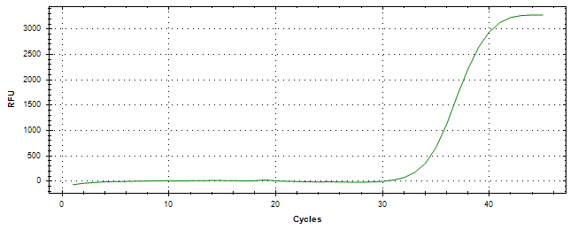 Amplification of cDNA generated from universal RNA.