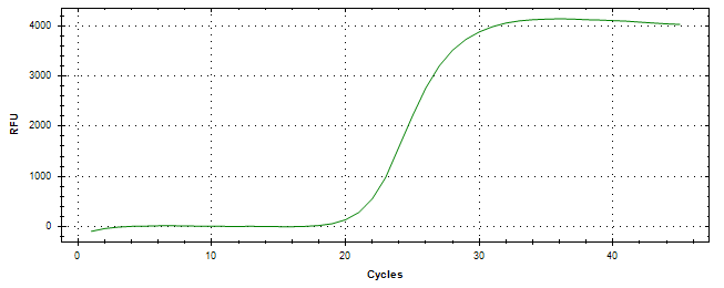 Amplification of cDNA generated from universal RNA.