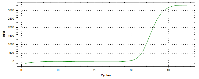 Amplification of cDNA generated from universal RNA.