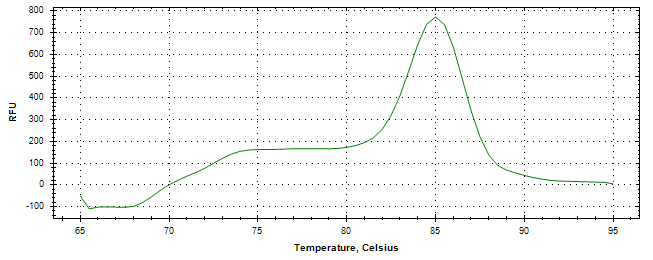 Melt curve analysis of above amplification.