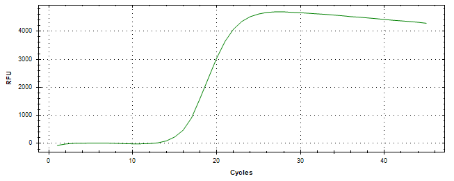 Amplification of cDNA generated from universal RNA.