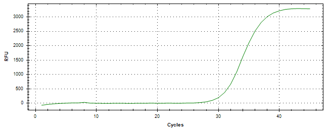 Amplification of cDNA generated from universal RNA.