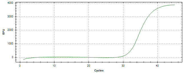 Amplification of cDNA generated from universal RNA.