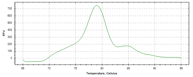 Melt curve analysis of above amplification.