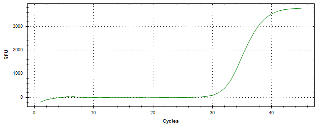 Amplification of cDNA generated from universal RNA.