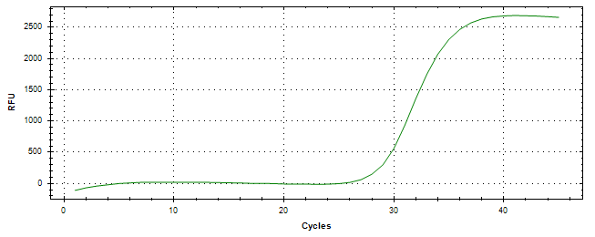 Amplification of cDNA generated from universal RNA.