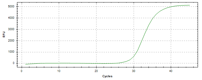 Amplification of cDNA generated from universal RNA.