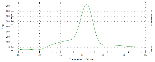 Melt curve analysis of above amplification.