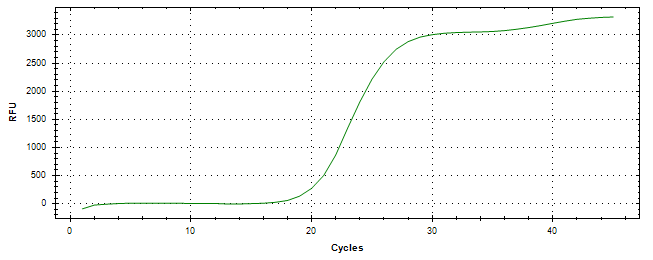 Amplification of cDNA generated from universal RNA.