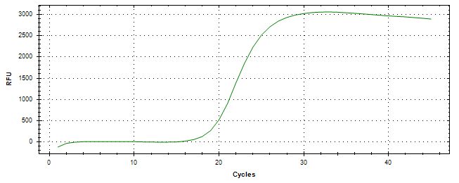 Amplification of cDNA generated from universal RNA.