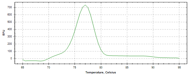 Melt curve analysis of above amplification.