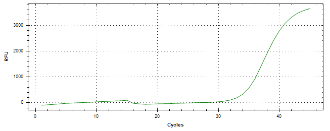 Amplification of cDNA generated from universal RNA.