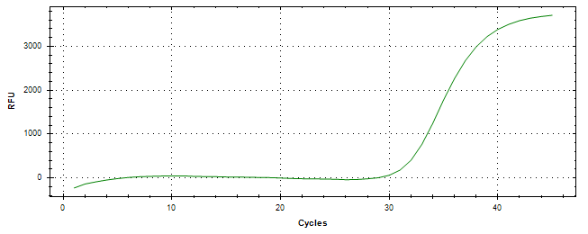 Amplification of cDNA generated from universal RNA.