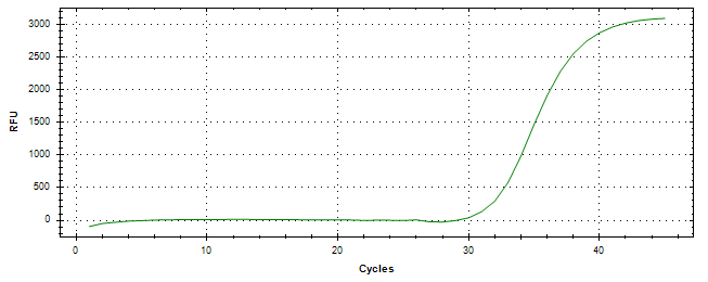 Amplification of cDNA generated from universal RNA.