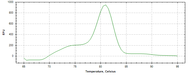 Melt curve analysis of above amplification.