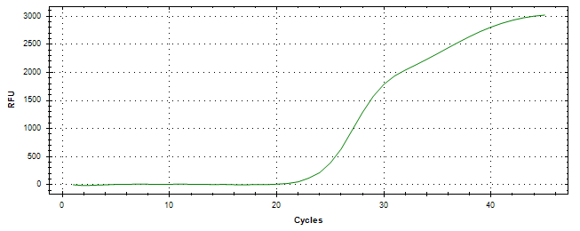 Amplification of cDNA generated from universal RNA.