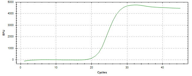 Amplification of cDNA generated from universal RNA.