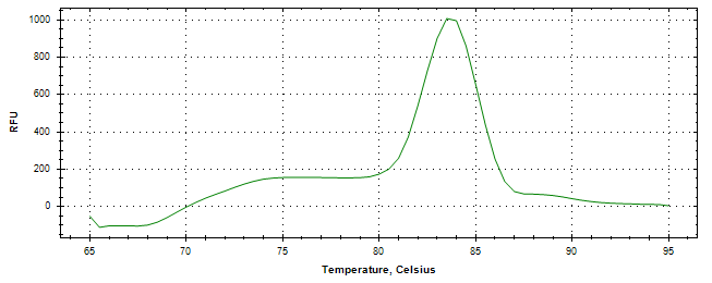 Melt curve analysis of above amplification.