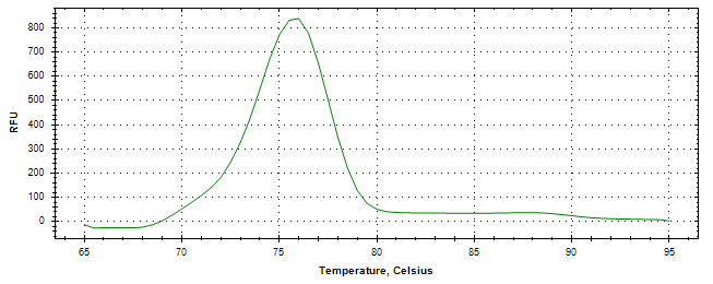 Melt curve analysis of above amplification.