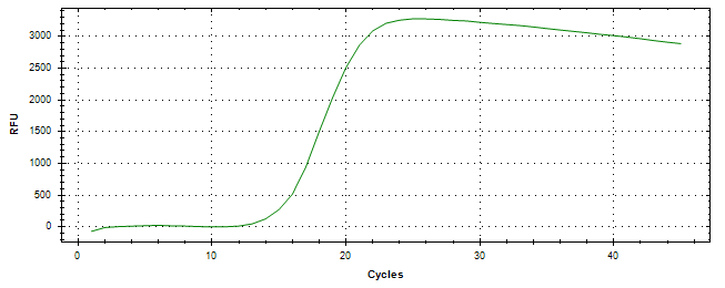 Amplification of cDNA generated from universal RNA.