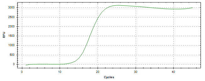 Amplification of cDNA generated from universal RNA.
