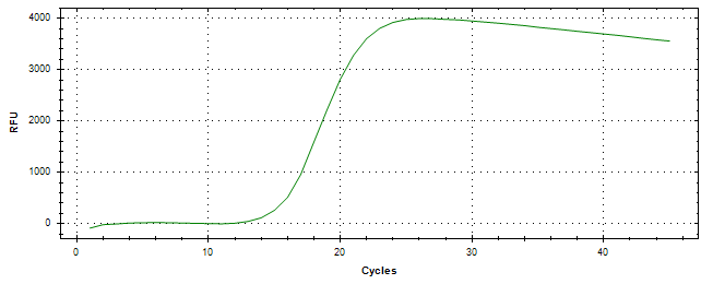 Amplification of cDNA generated from universal RNA.