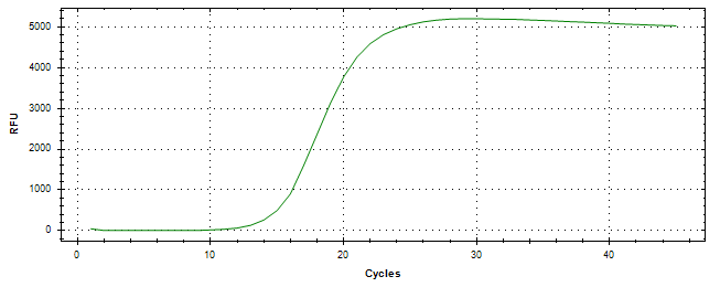 Amplification of cDNA generated from universal RNA.