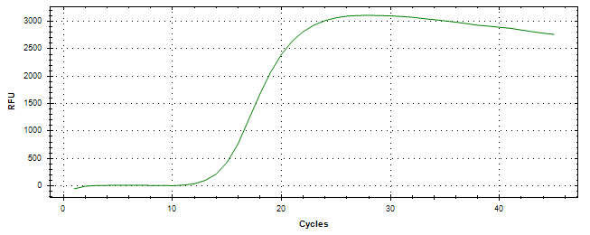 Amplification of cDNA generated from universal RNA.