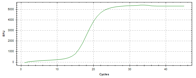 Amplification of cDNA generated from universal RNA.