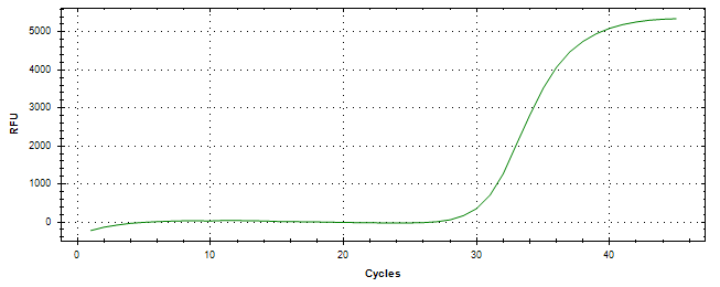 Amplification of cDNA generated from universal RNA.