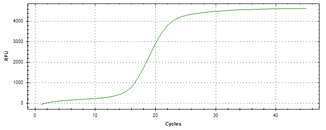 Amplification of cDNA generated from universal RNA.
