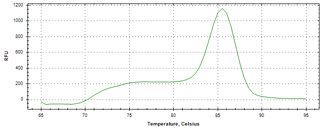 Melt curve analysis of above amplification.