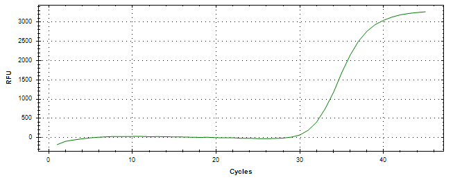 Amplification of cDNA generated from universal RNA.