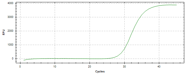 Amplification of cDNA generated from universal RNA.