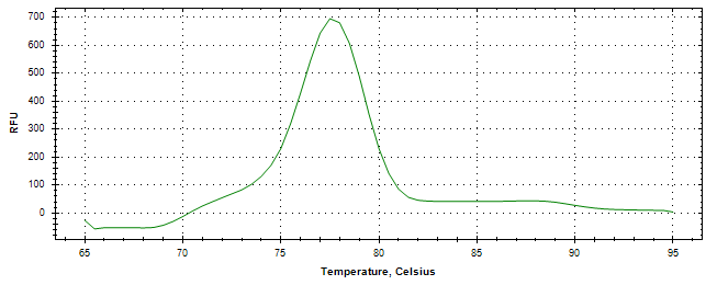 Melt curve analysis of above amplification.