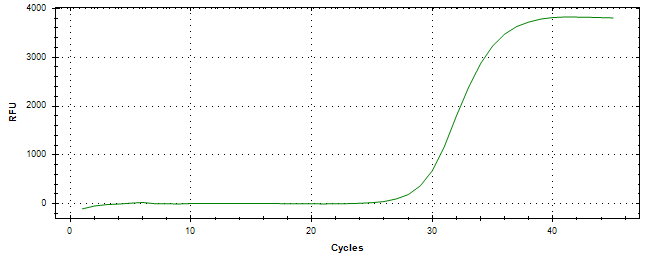 Amplification of cDNA generated from universal RNA.