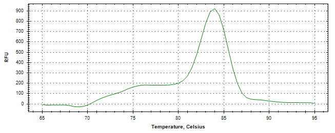Melt curve analysis of above amplification.