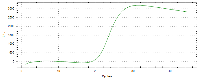 Amplification of cDNA generated from universal RNA.