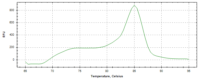 Melt curve analysis of above amplification.