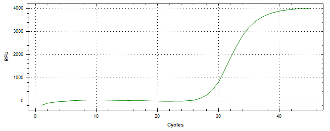 Amplification of cDNA generated from universal RNA.